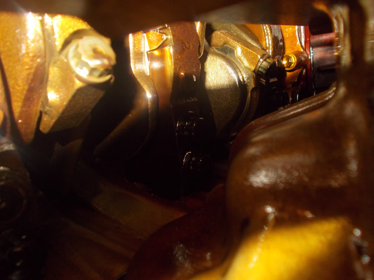 DSCN0520.jpg