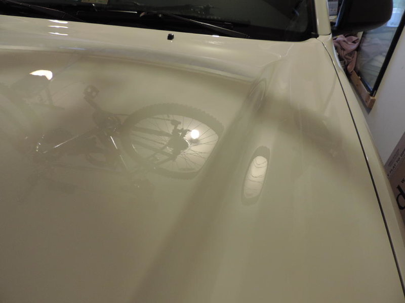 DSCN0521.jpg
