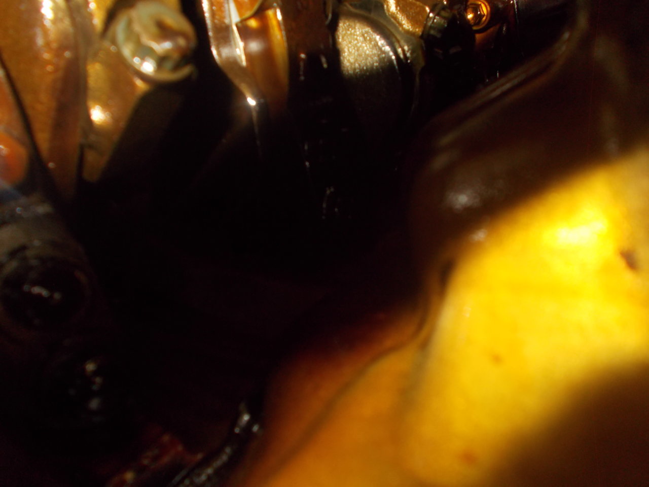 DSCN0523.jpg