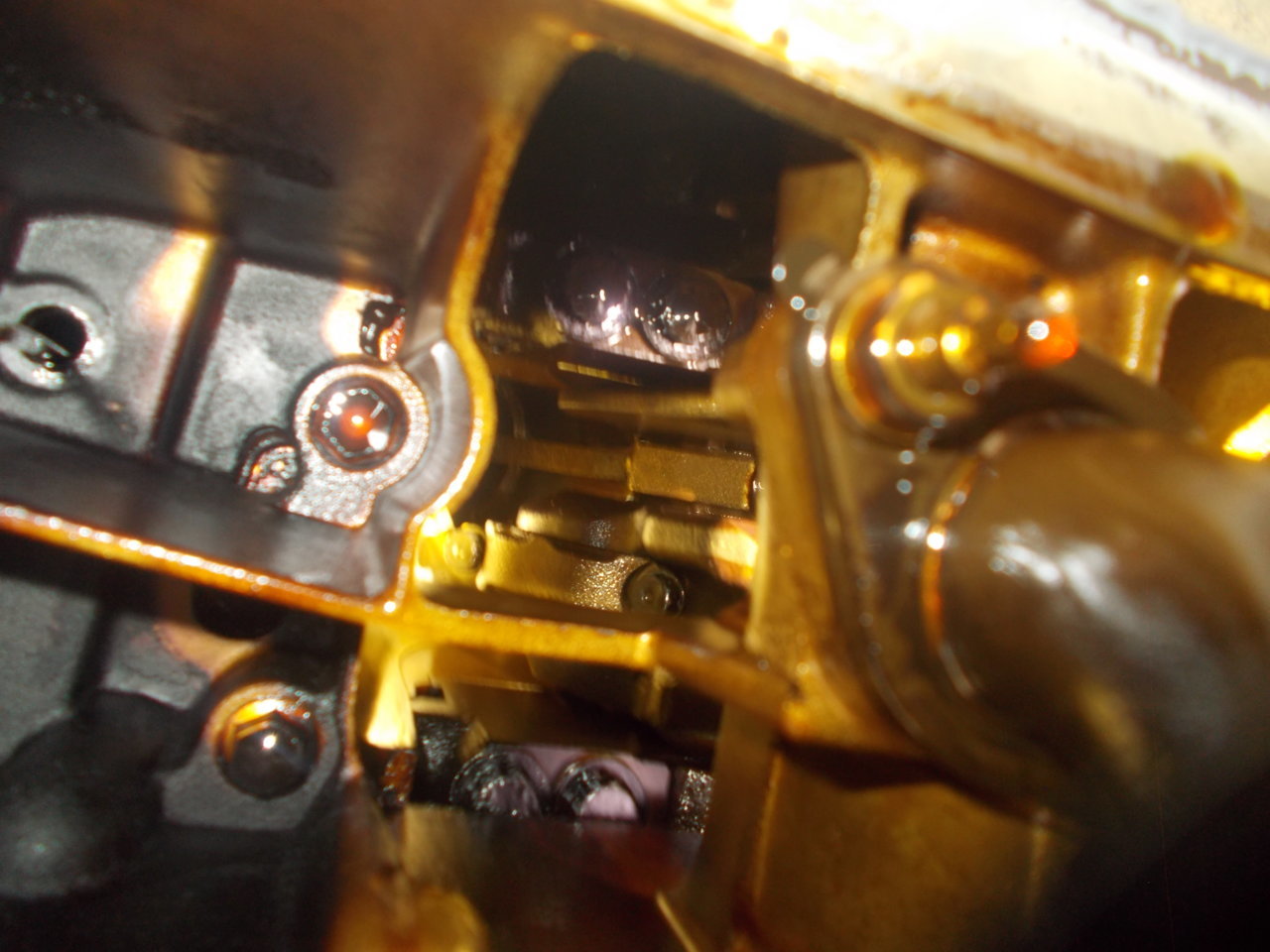 DSCN0526.jpg