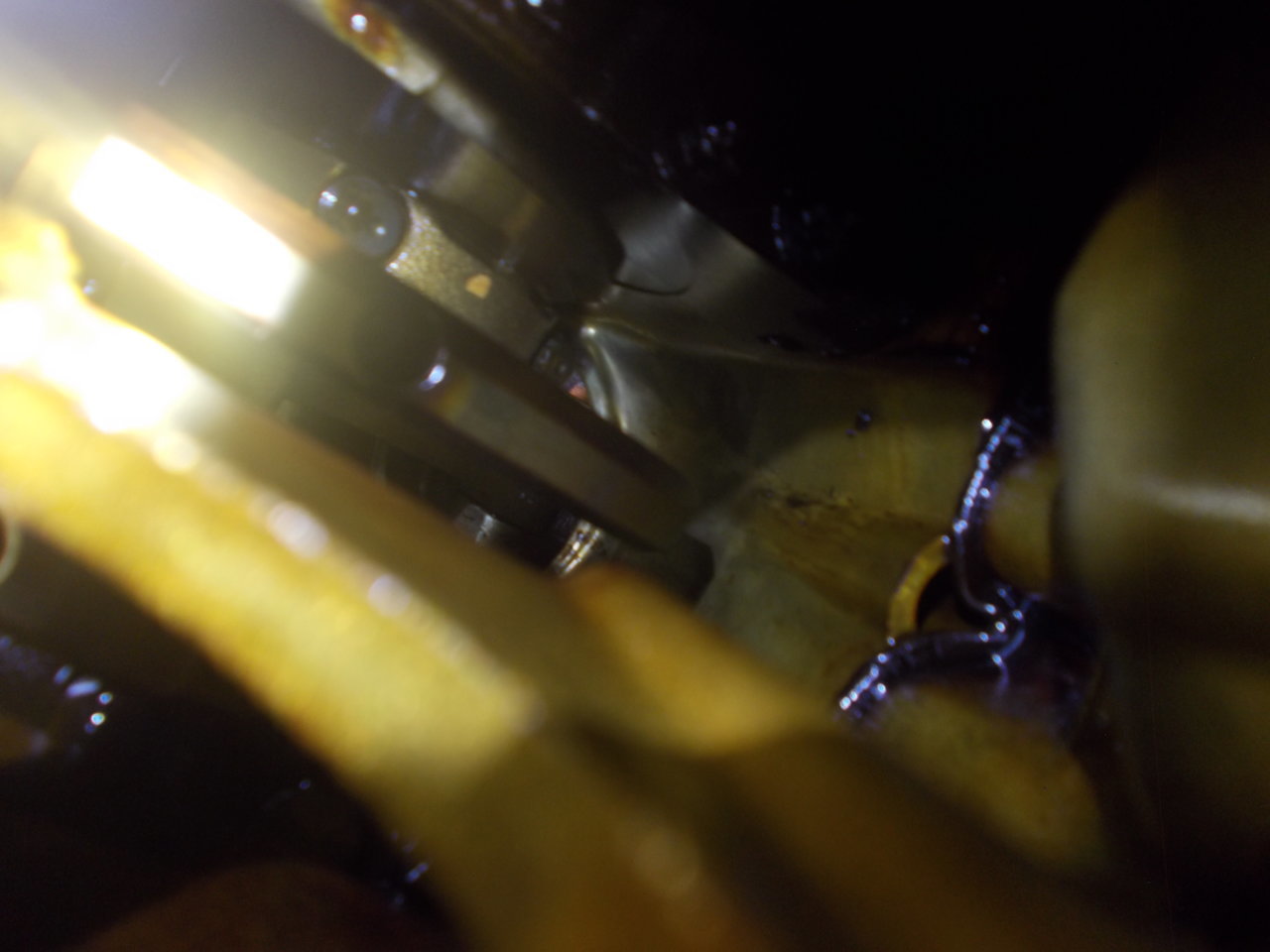 DSCN0527.jpg