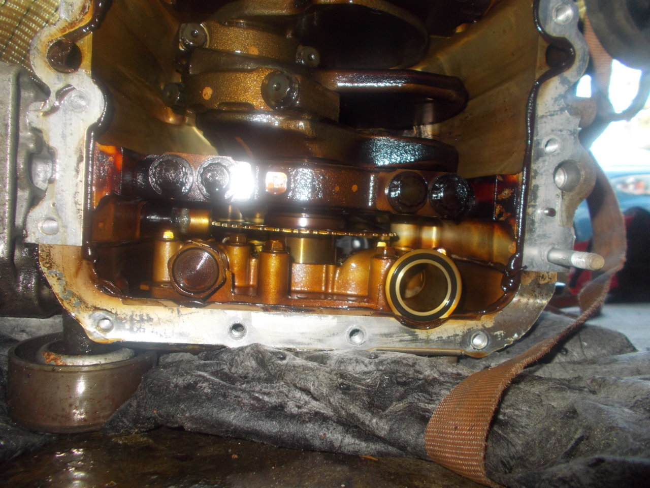 DSCN0537.jpg