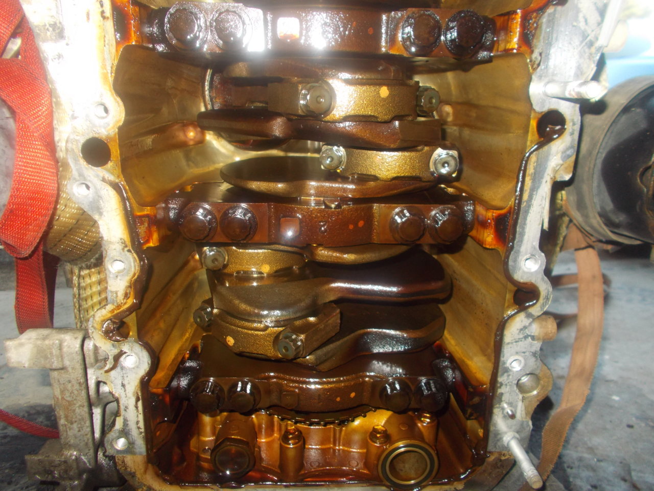 DSCN0538.jpg