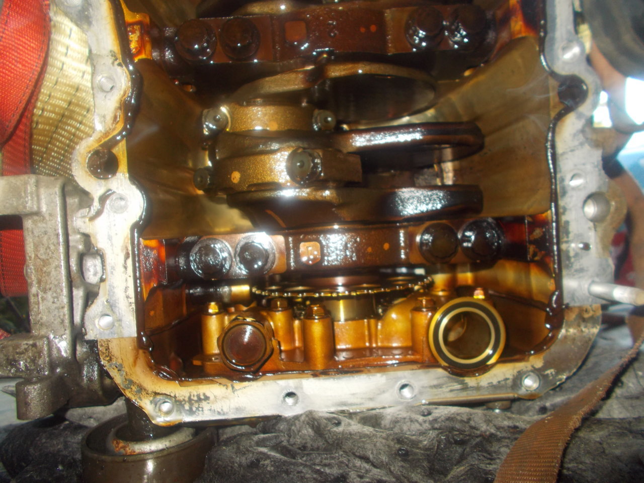 DSCN0539.jpg