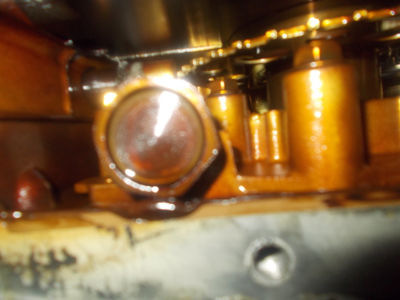 DSCN0550.jpg