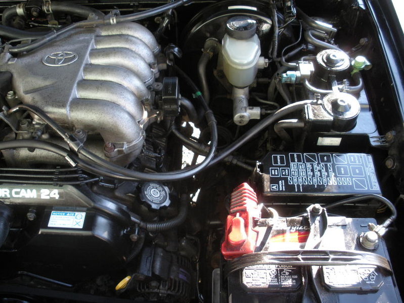 DSCN0558.jpg