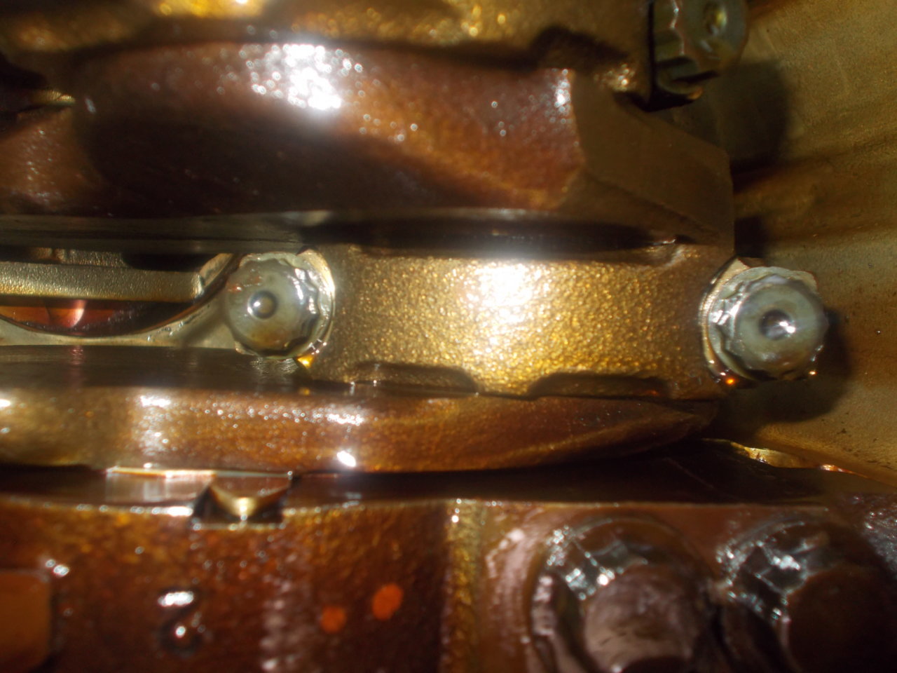 DSCN0560.jpg