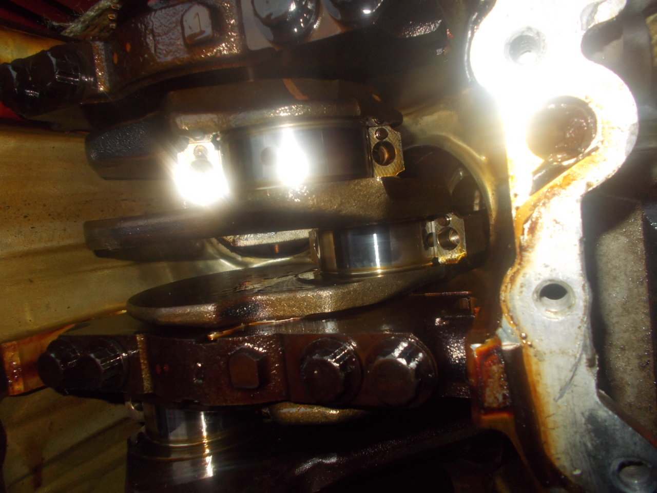 DSCN0565.jpg