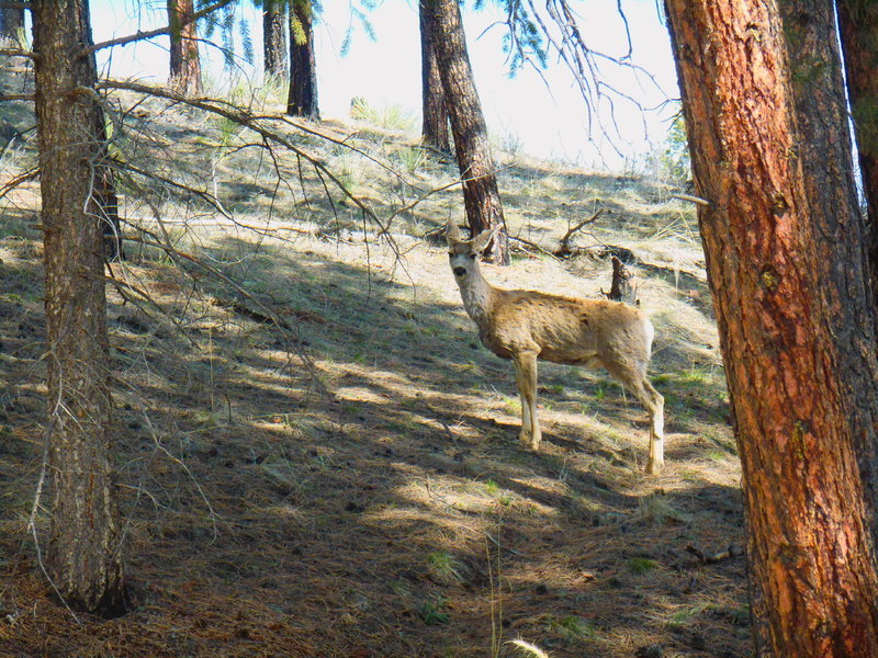 DSCN0568.jpg