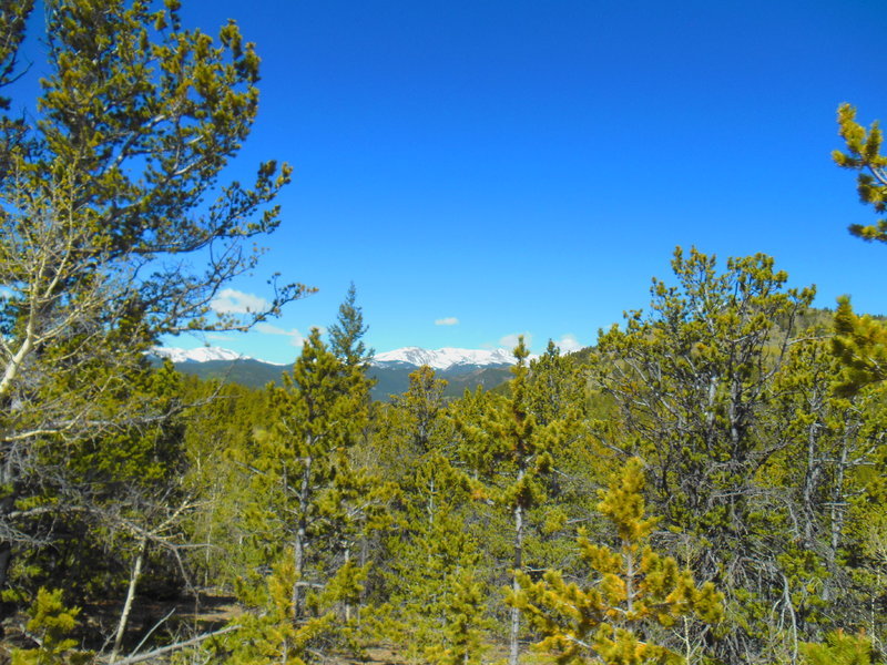 DSCN0582.jpg