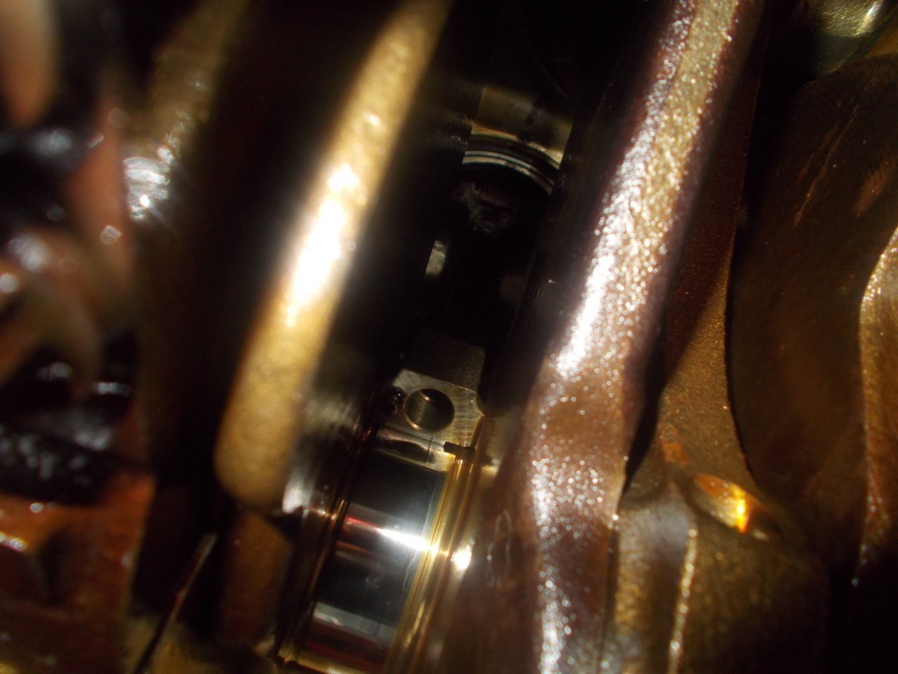 DSCN0585.jpg