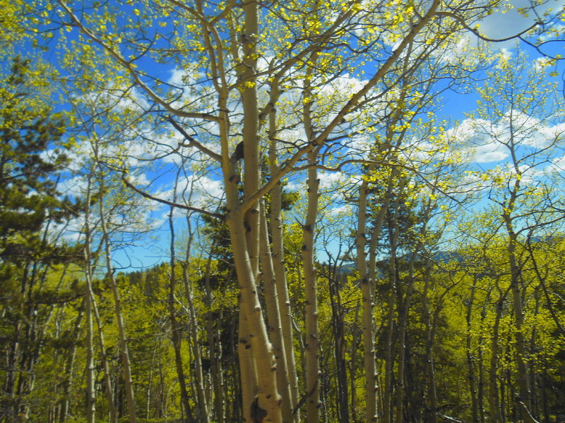 DSCN0586.jpg