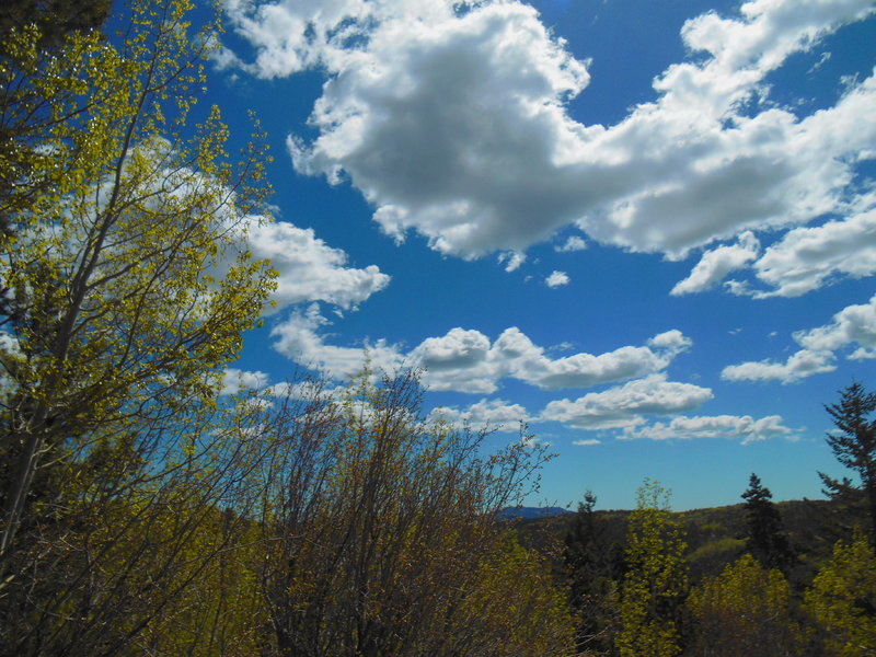 DSCN0587.jpg