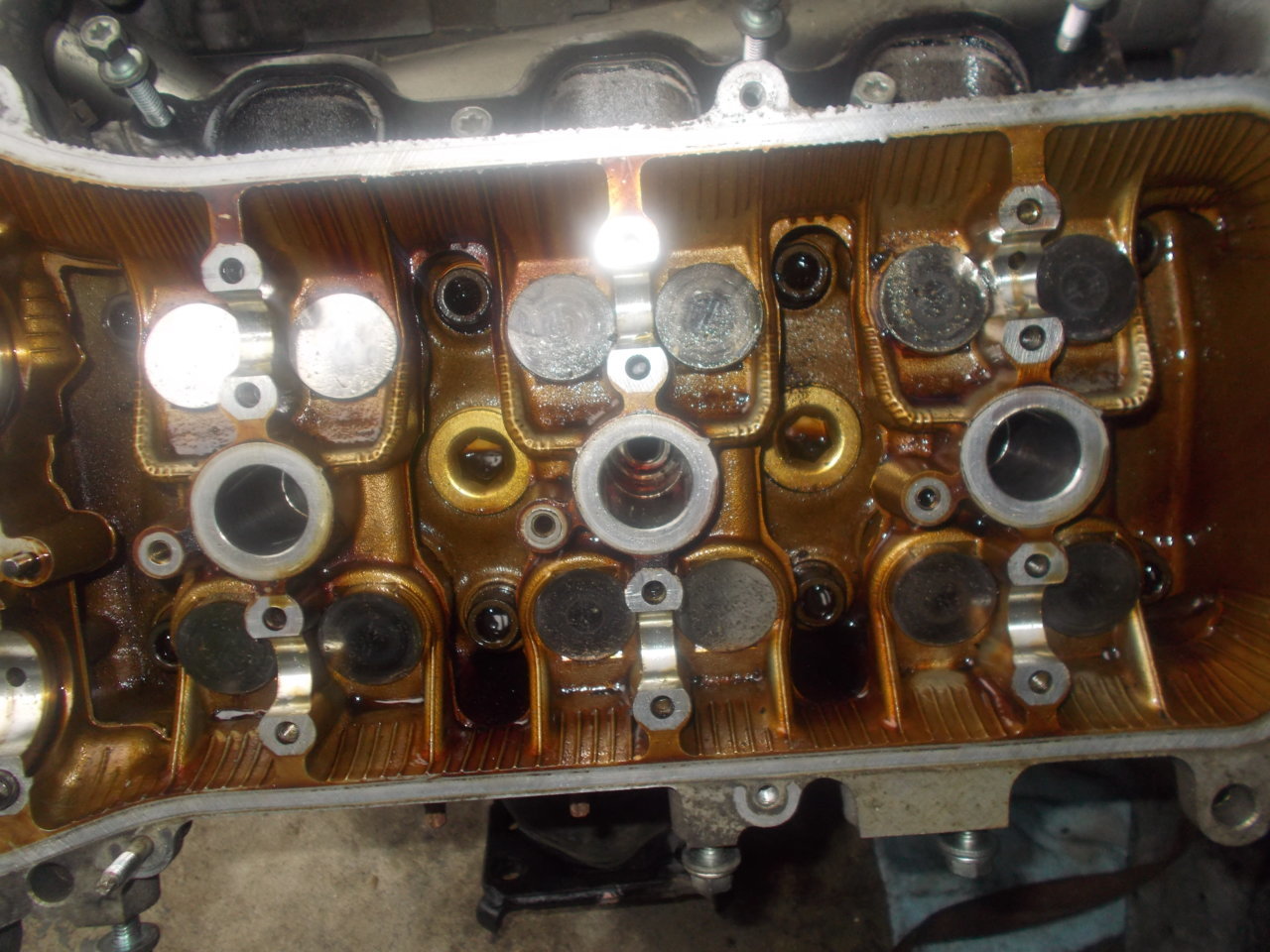 DSCN0589.jpg