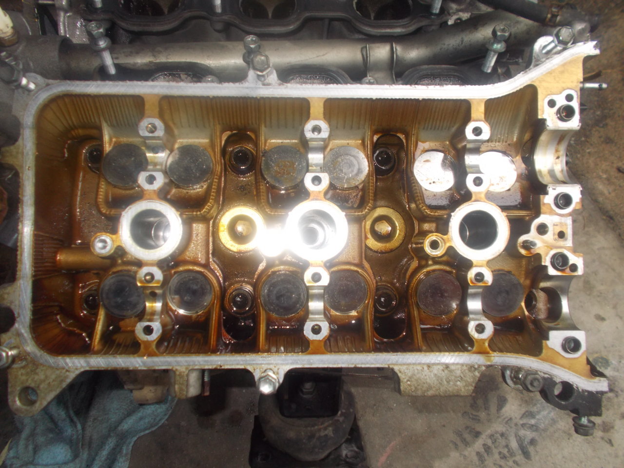 DSCN0590.jpg