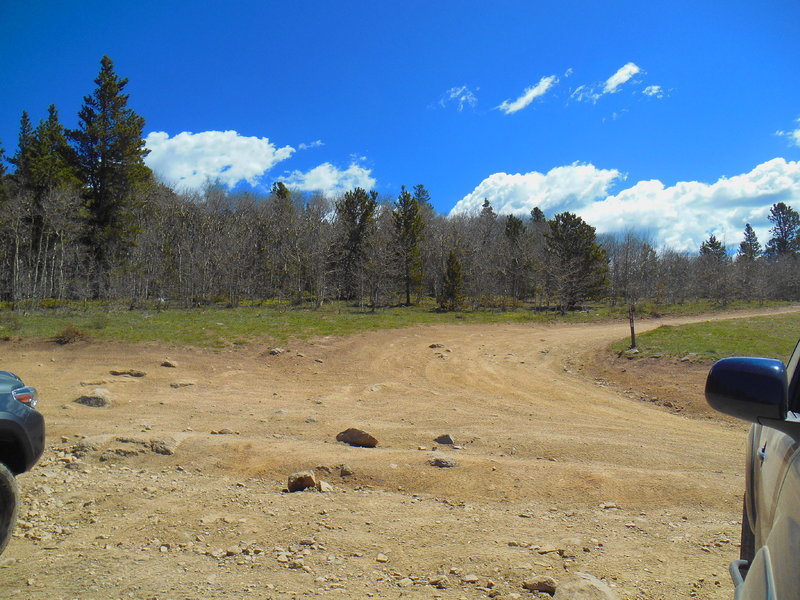 DSCN0591.jpg