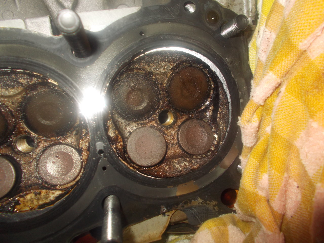 DSCN0593.jpg