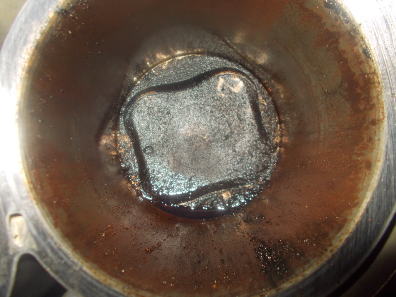 DSCN0598.jpg