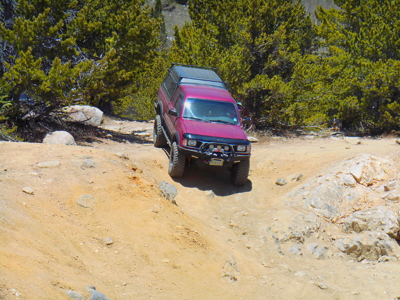 DSCN0600.jpg