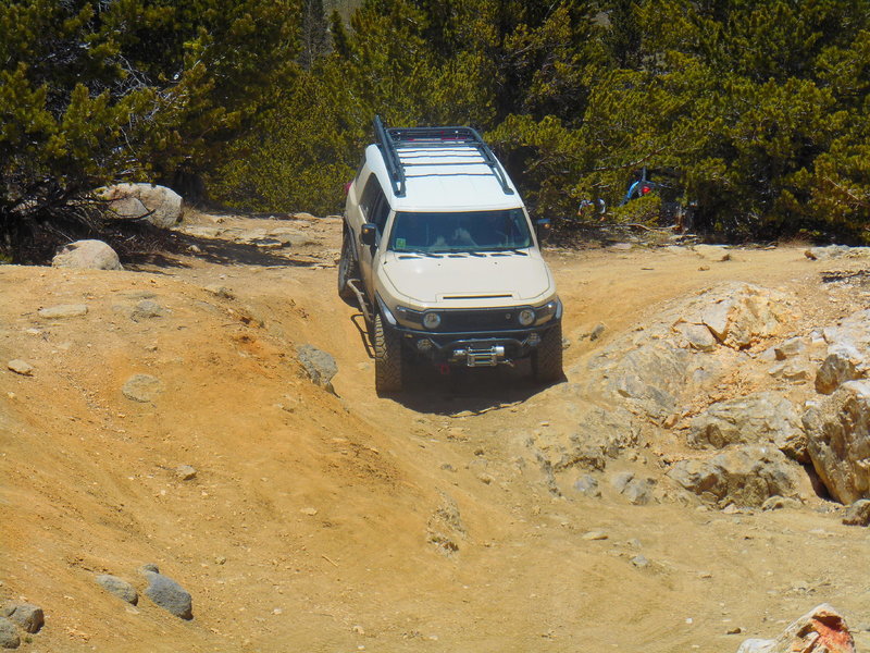 DSCN0604.jpg