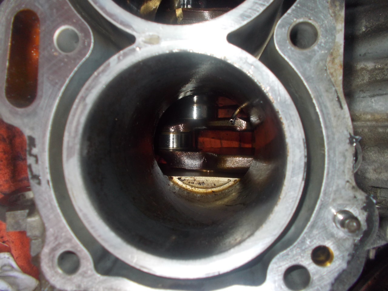 DSCN0612.jpg