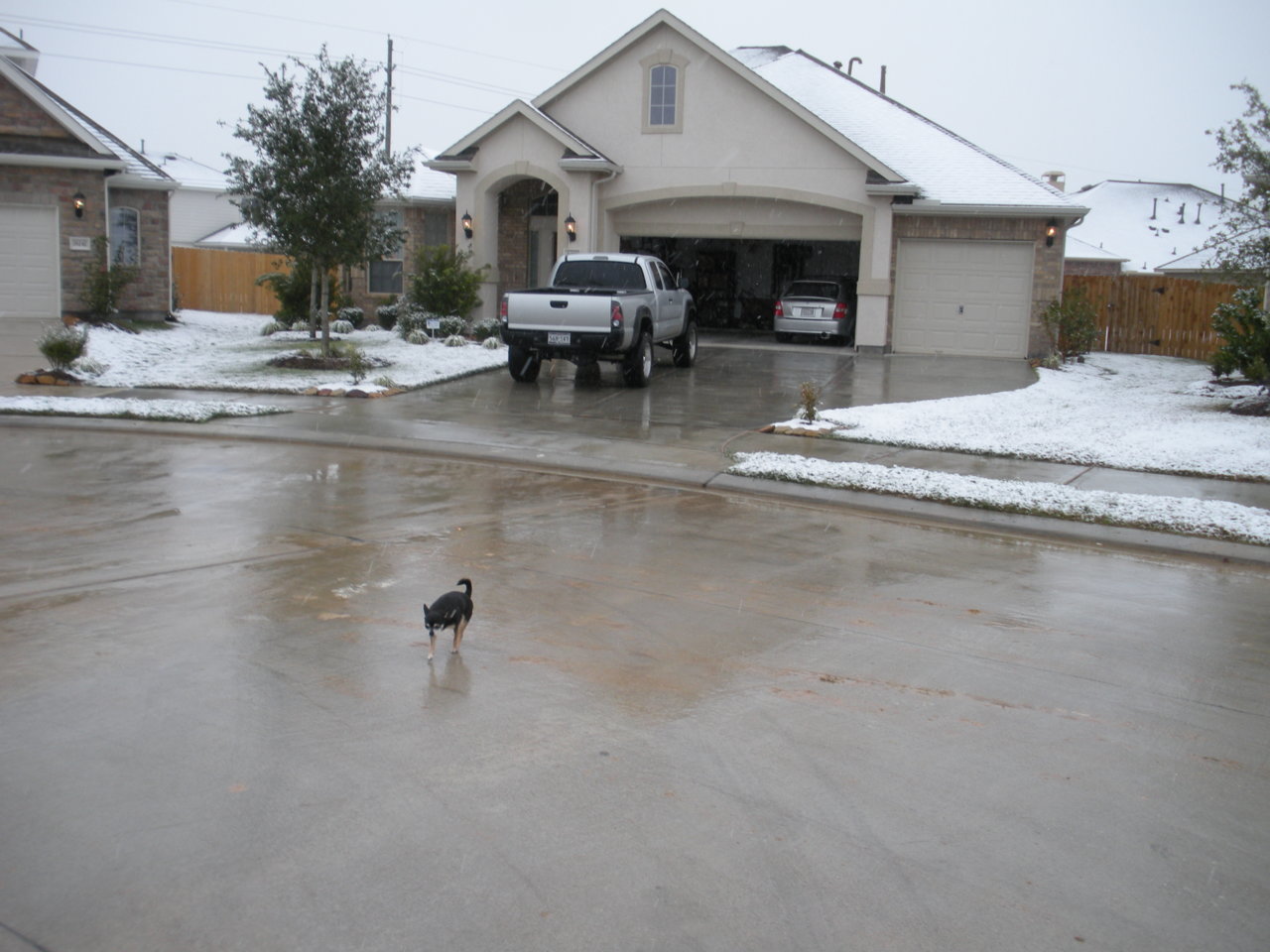 DSCN0613.jpg