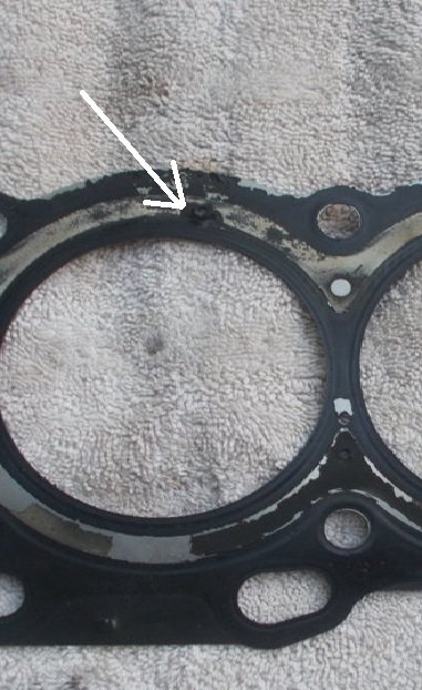 DSCN0618.jpg