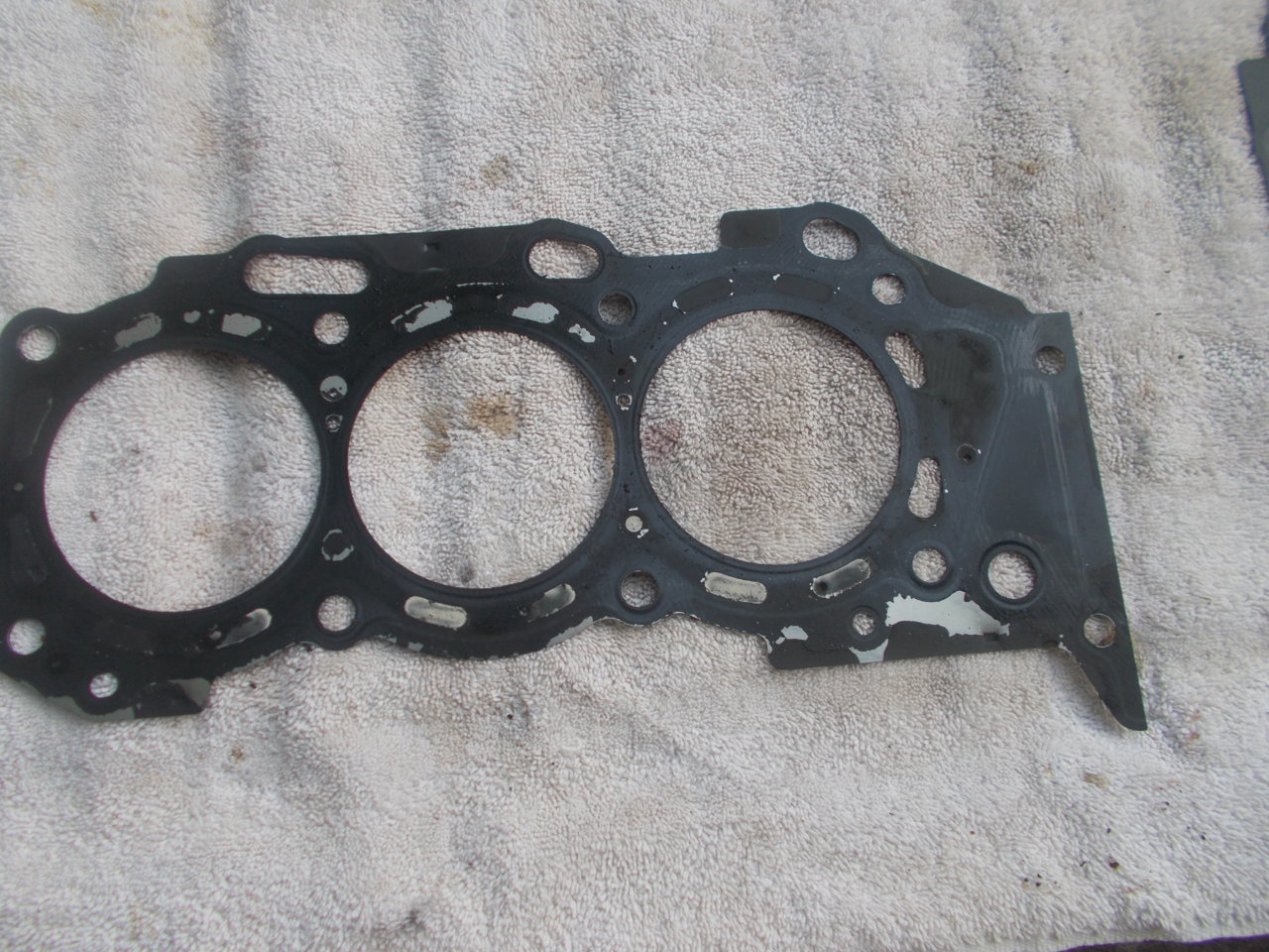 DSCN0619.jpg