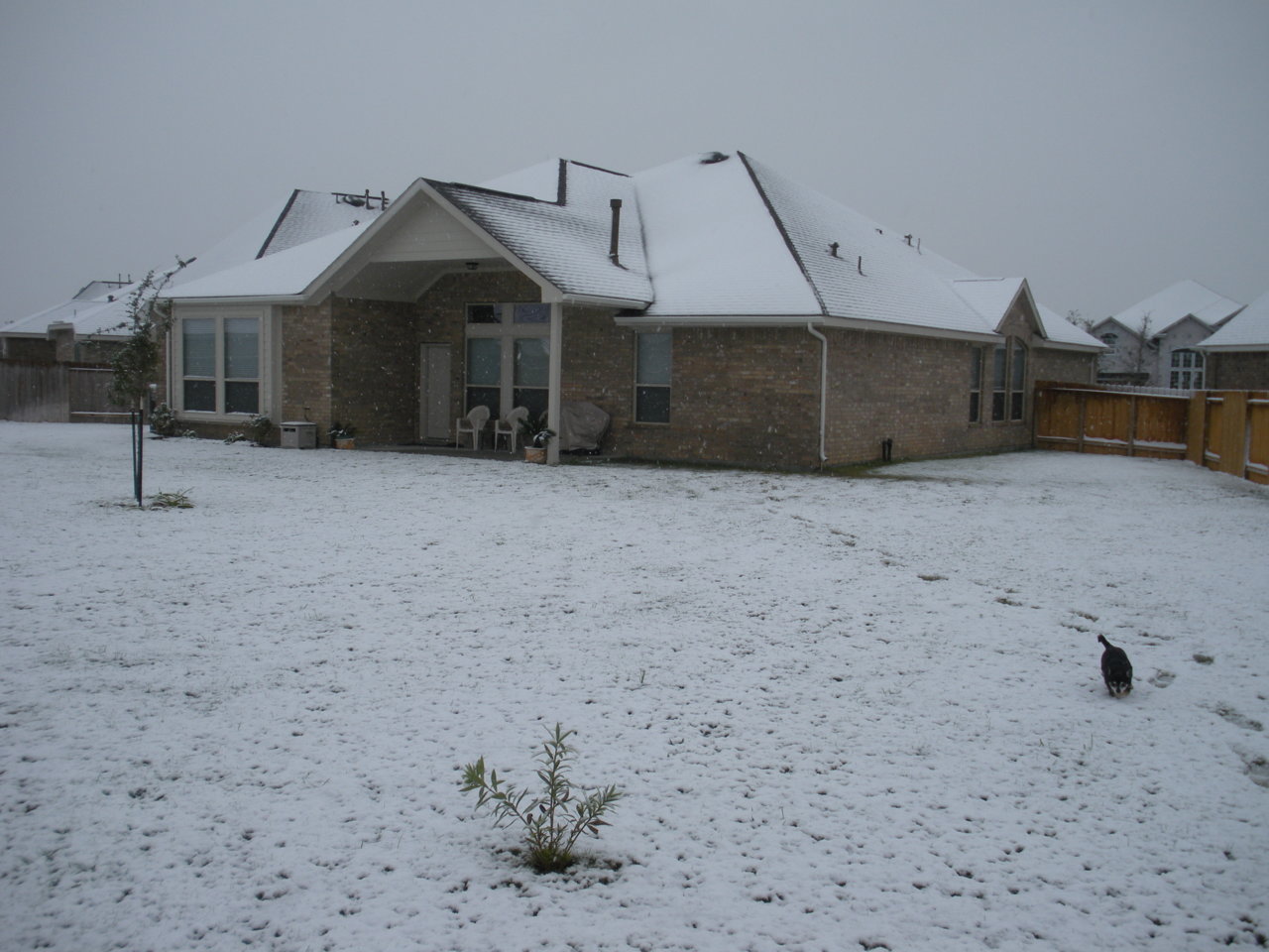 DSCN0620.jpg