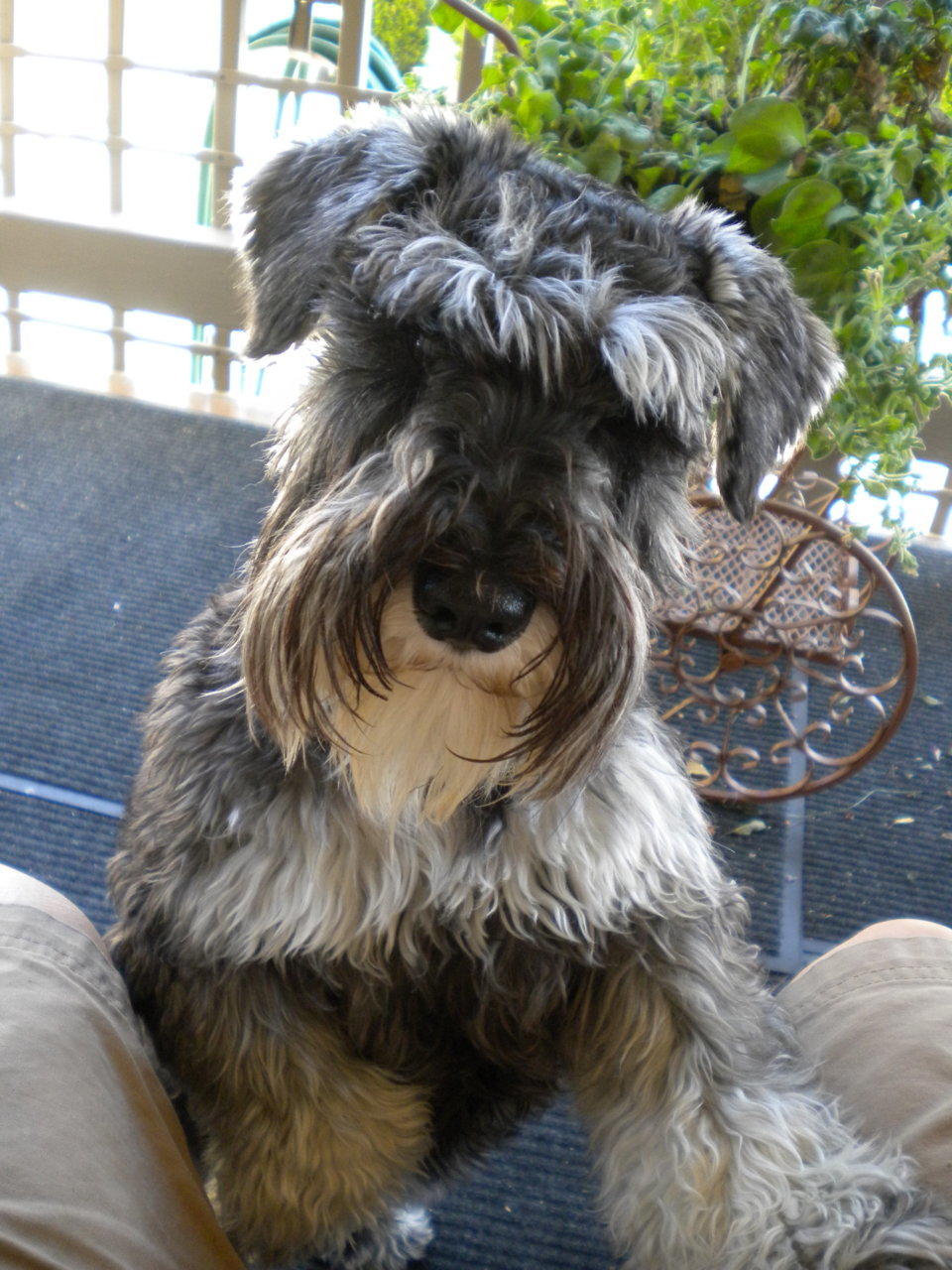 DSCN0622.jpg