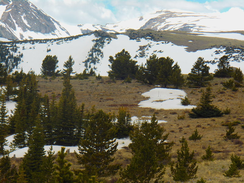 DSCN0626.jpg