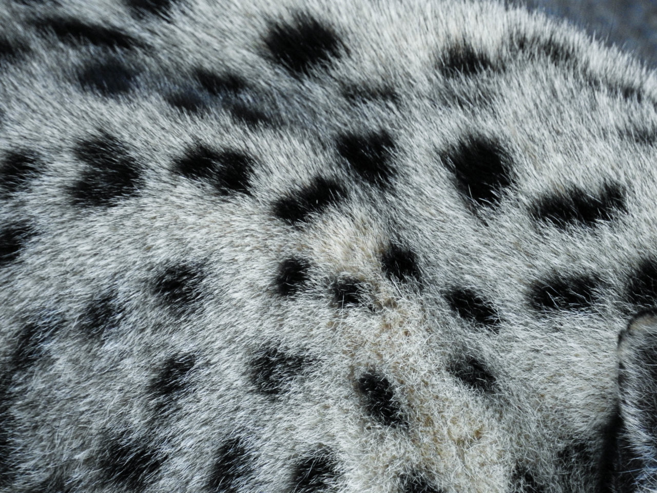DSCN0631.jpg