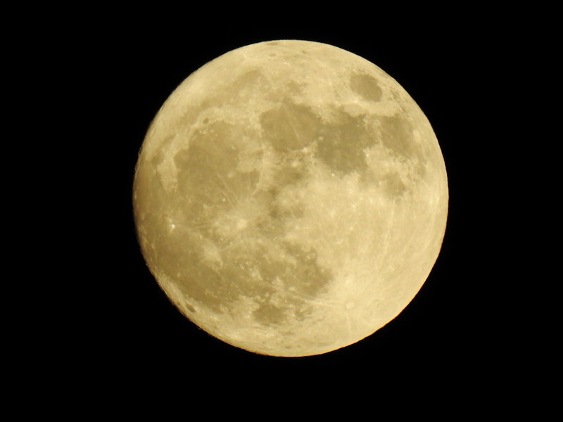 DSCN0651.jpg