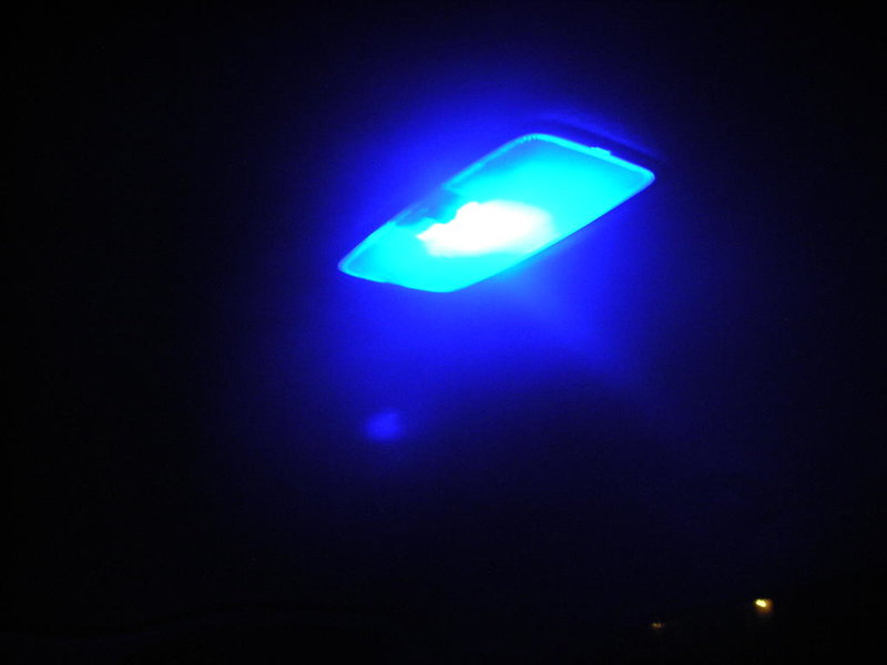 DSCN0667.jpg