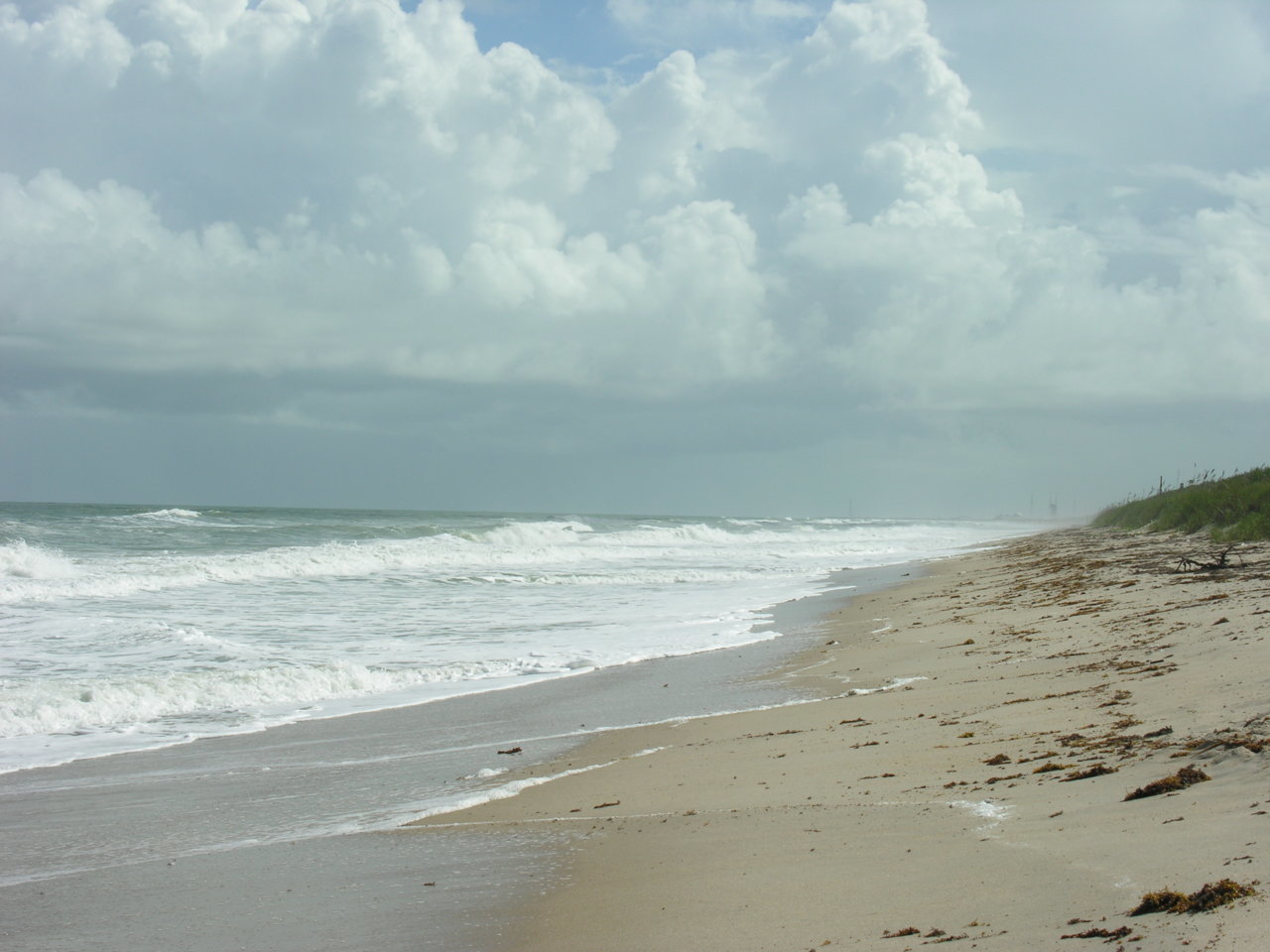 DSCN0671.jpg