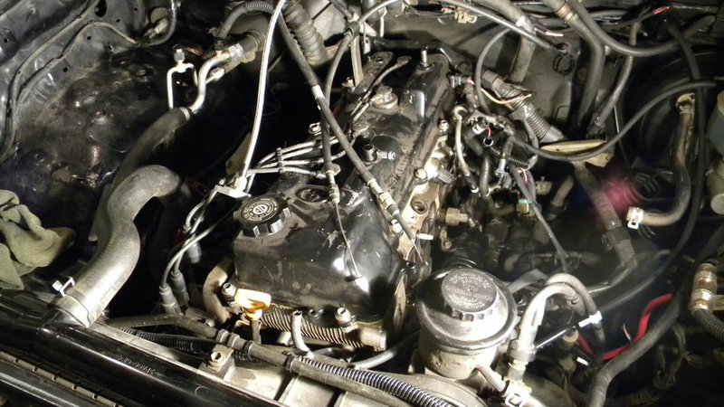 DSCN0681.jpg