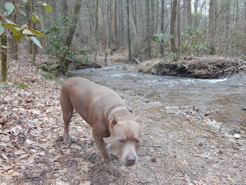 DSCN0740.jpg