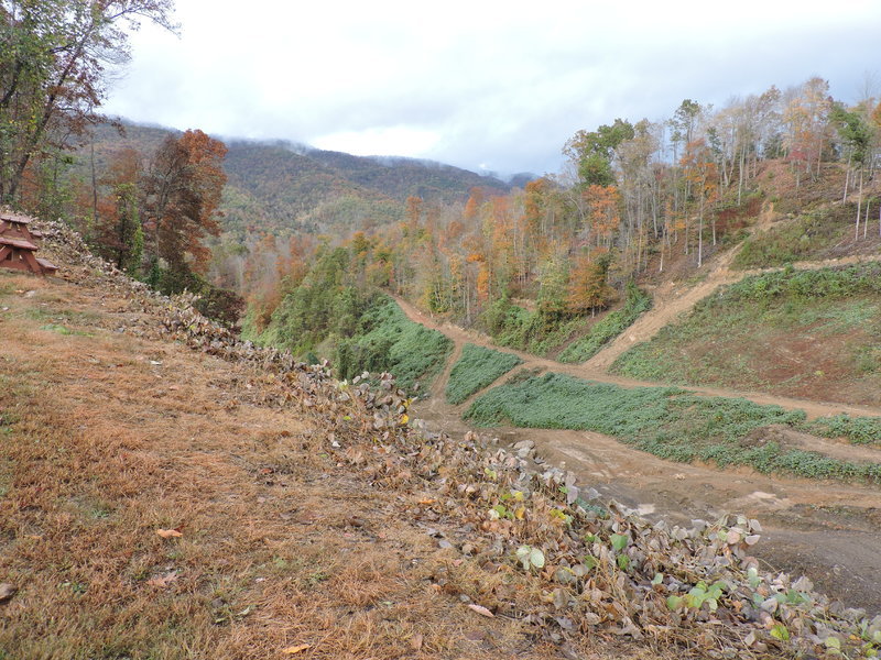 DSCN0754.jpg