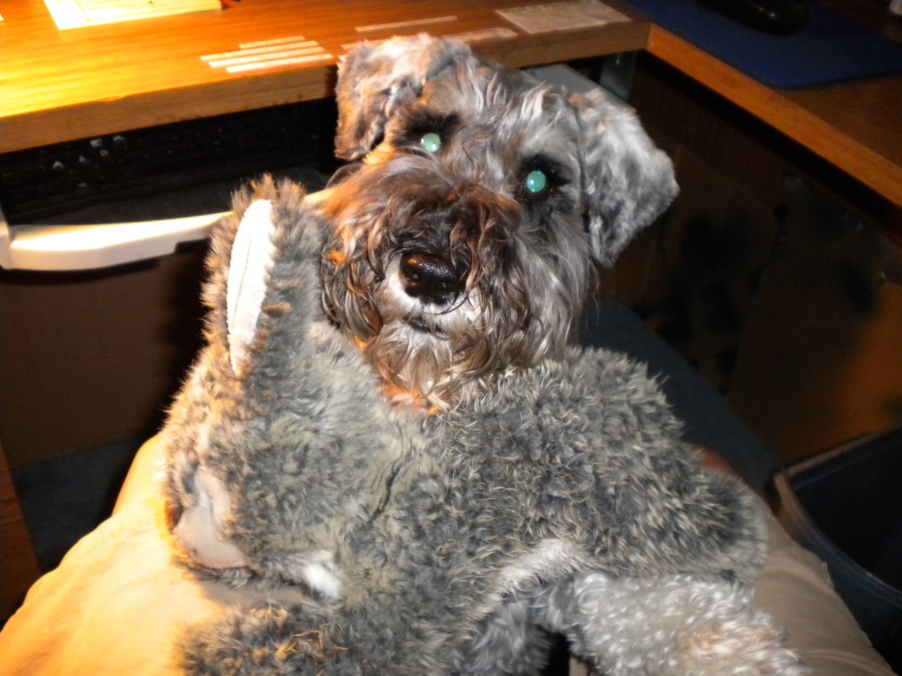DSCN0758.jpg