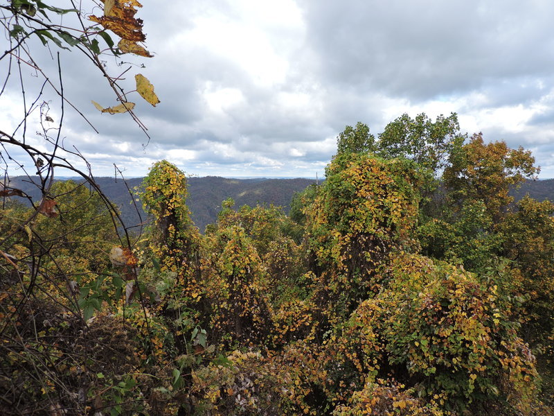 DSCN0771.jpg