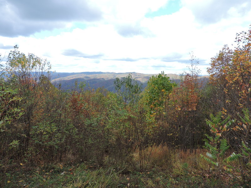 DSCN0783.jpg