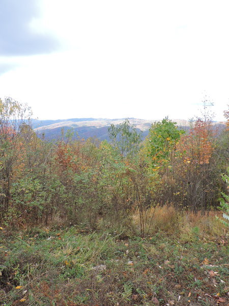 DSCN0784.jpg