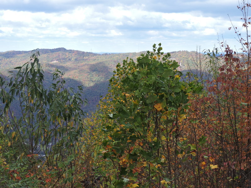 DSCN0785.jpg