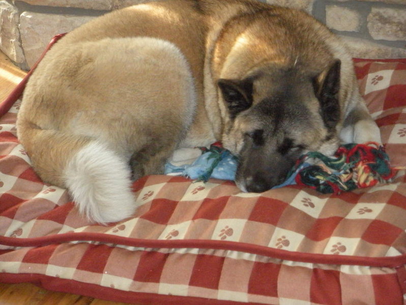 DSCN0795.jpg