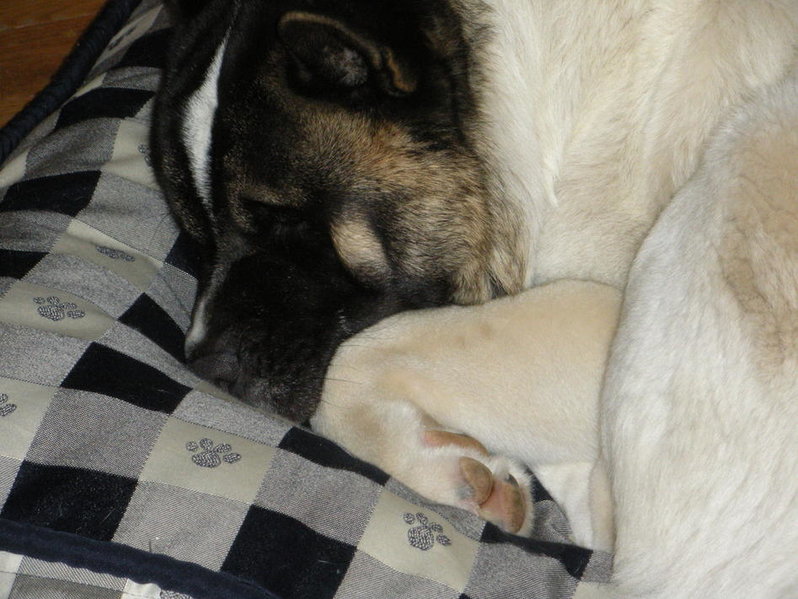 DSCN0796.jpg