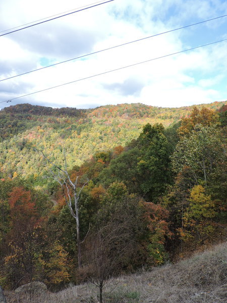 DSCN0800.jpg
