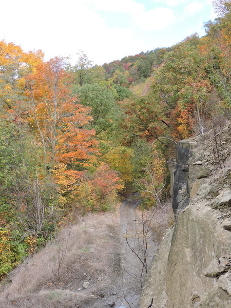 DSCN0811.jpg