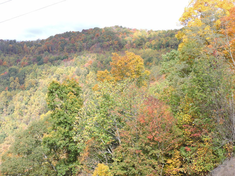 DSCN0812.jpg