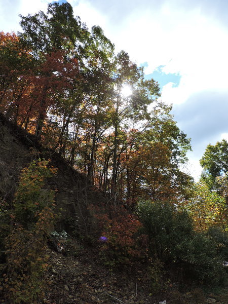 DSCN0813.jpg