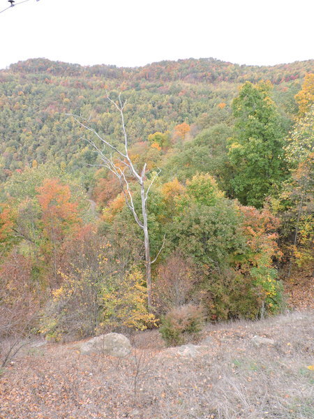 DSCN0817.jpg